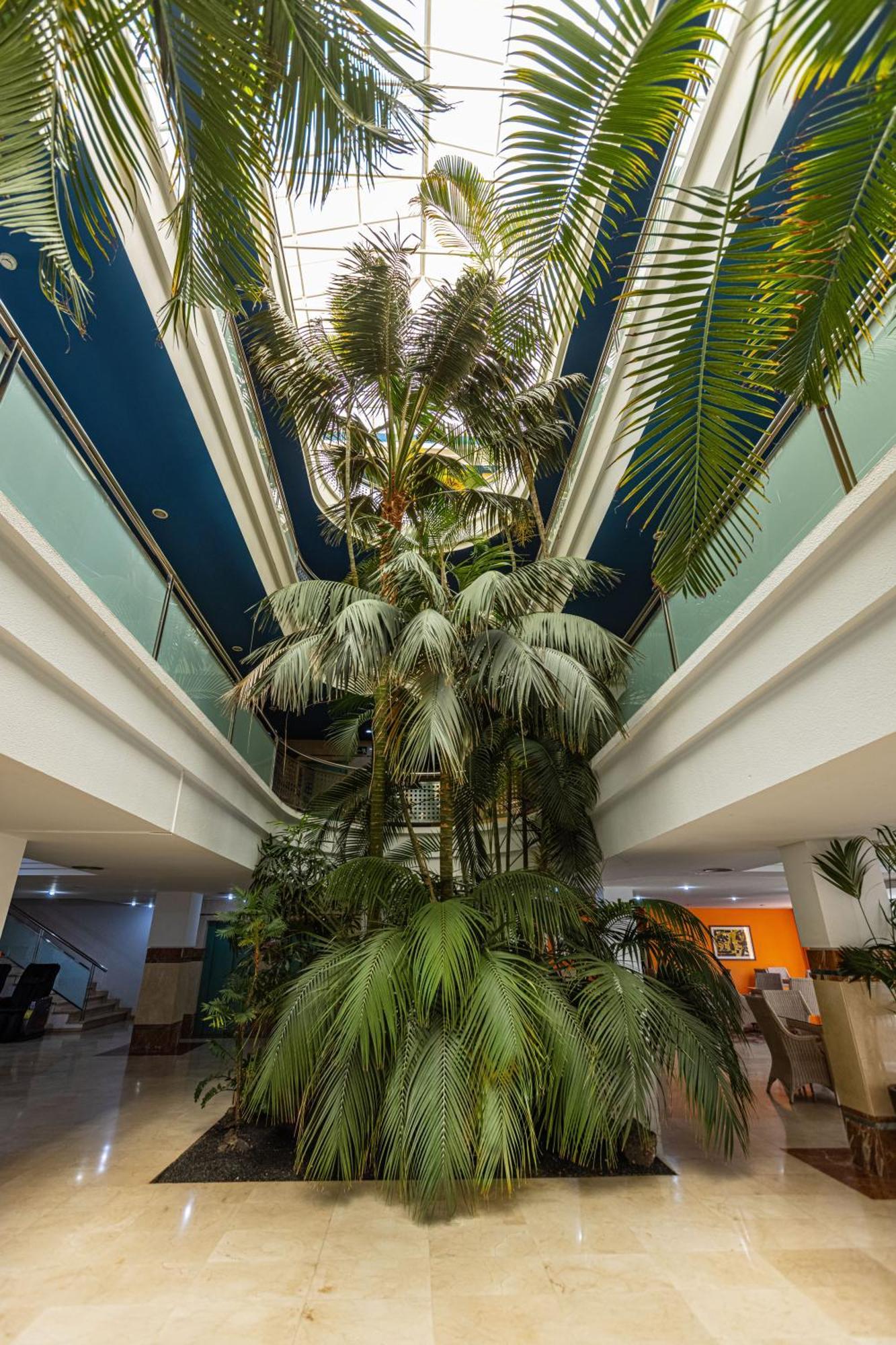 Hotel Ifa Altamarena By Lopesan